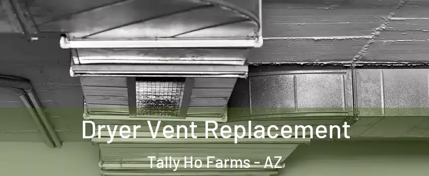 Dryer Vent Replacement Tally Ho Farms - AZ