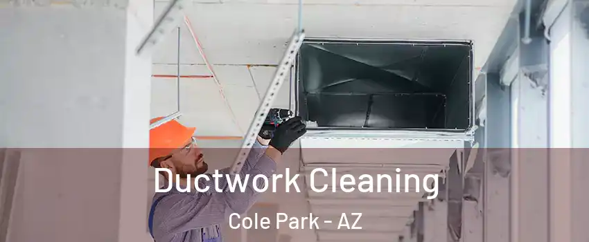 Ductwork Cleaning Cole Park - AZ