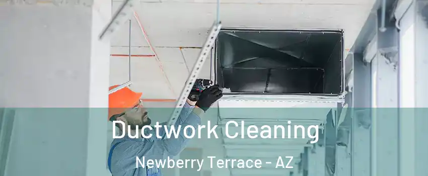 Ductwork Cleaning Newberry Terrace - AZ