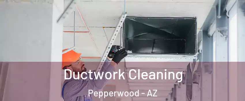 Ductwork Cleaning Pepperwood - AZ