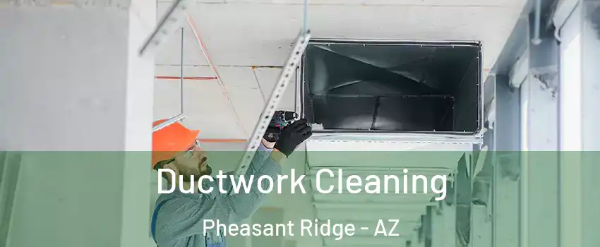 Ductwork Cleaning Pheasant Ridge - AZ