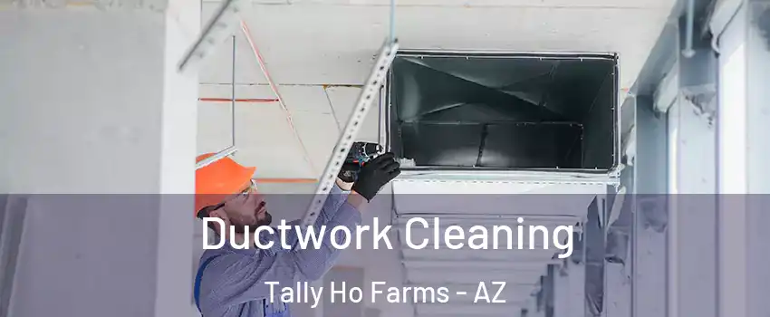 Ductwork Cleaning Tally Ho Farms - AZ