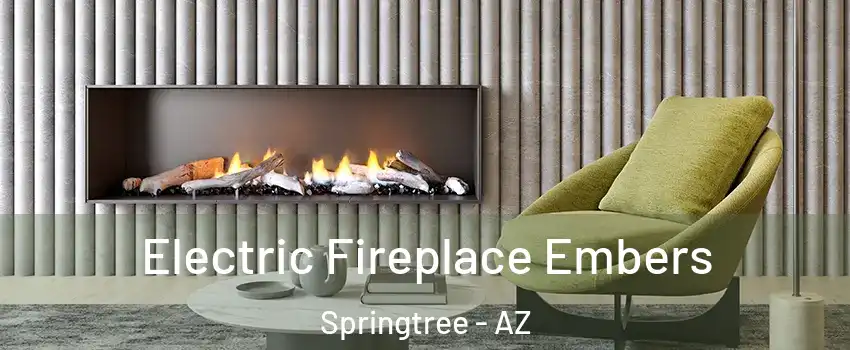Electric Fireplace Embers Springtree - AZ