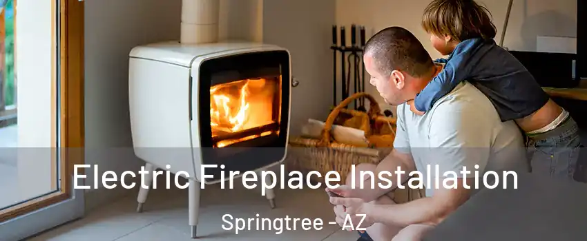 Electric Fireplace Installation Springtree - AZ