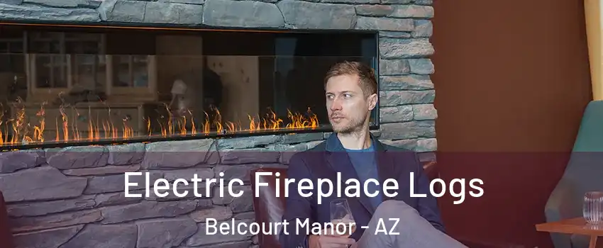 Electric Fireplace Logs Belcourt Manor - AZ