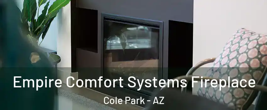 Empire Comfort Systems Fireplace Cole Park - AZ