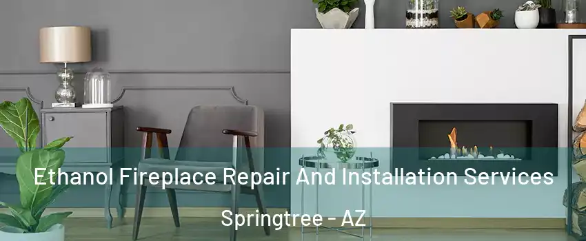 Ethanol Fireplace Repair And Installation Services Springtree - AZ