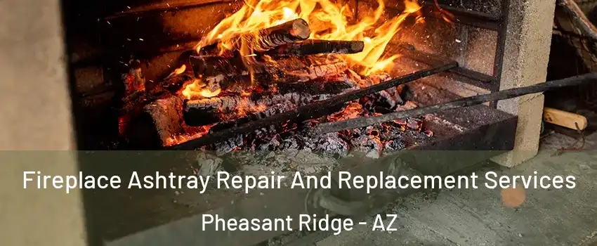 Fireplace Ashtray Repair And Replacement Services Pheasant Ridge - AZ