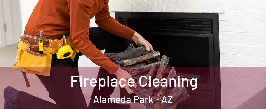 Fireplace Cleaning Alameda Park - AZ