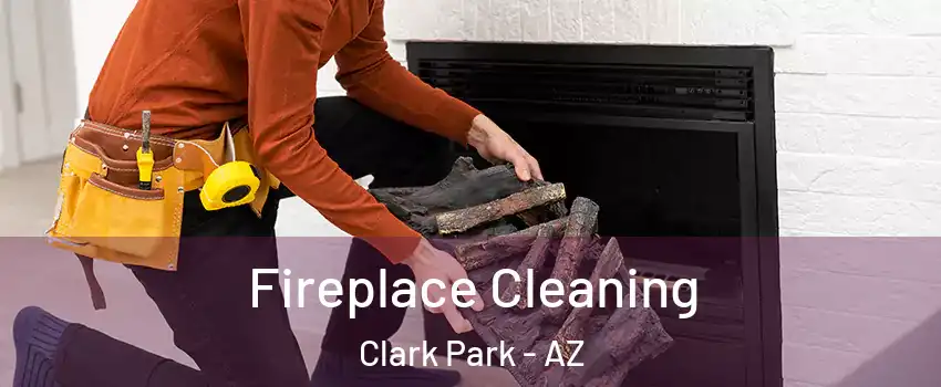 Fireplace Cleaning Clark Park - AZ