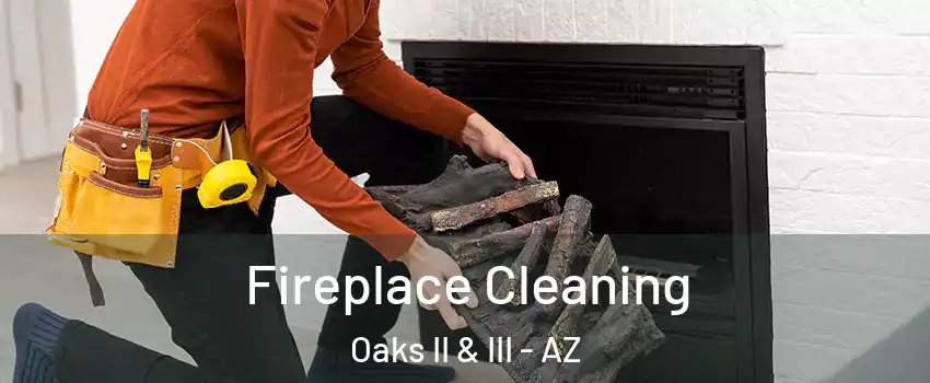 Fireplace Cleaning Oaks II & III - AZ