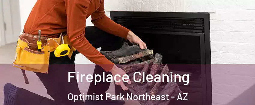 Fireplace Cleaning Optimist Park Northeast - AZ