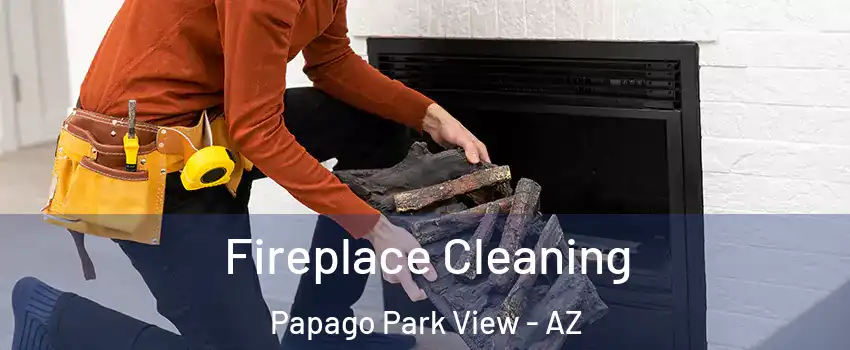 Fireplace Cleaning Papago Park View - AZ