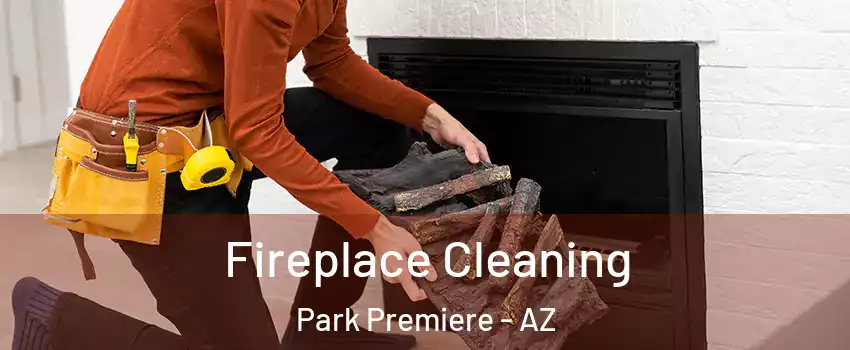 Fireplace Cleaning Park Premiere - AZ