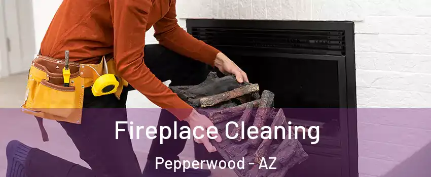 Fireplace Cleaning Pepperwood - AZ