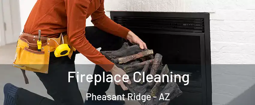 Fireplace Cleaning Pheasant Ridge - AZ