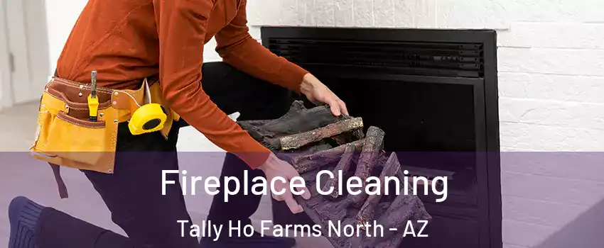 Fireplace Cleaning Tally Ho Farms North - AZ