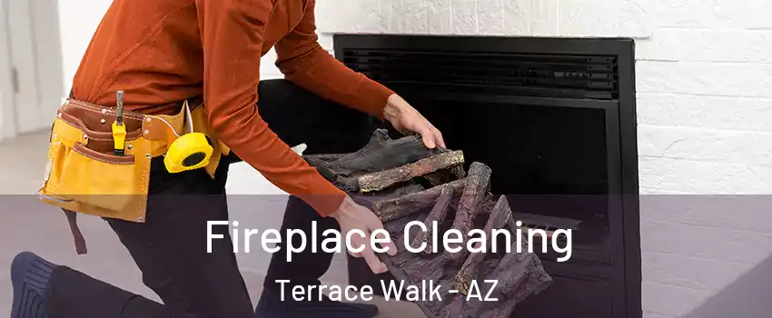 Fireplace Cleaning Terrace Walk - AZ