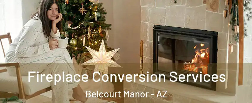 Fireplace Conversion Services Belcourt Manor - AZ