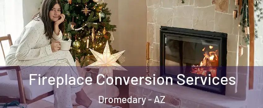 Fireplace Conversion Services Dromedary - AZ