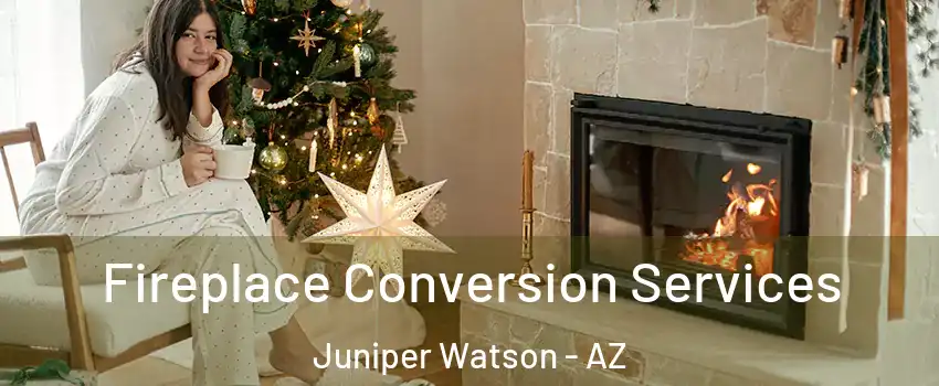Fireplace Conversion Services Juniper Watson - AZ