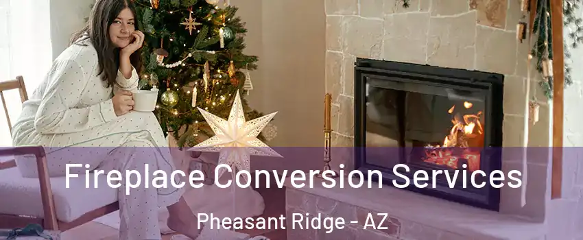 Fireplace Conversion Services Pheasant Ridge - AZ