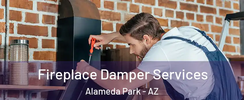 Fireplace Damper Services Alameda Park - AZ
