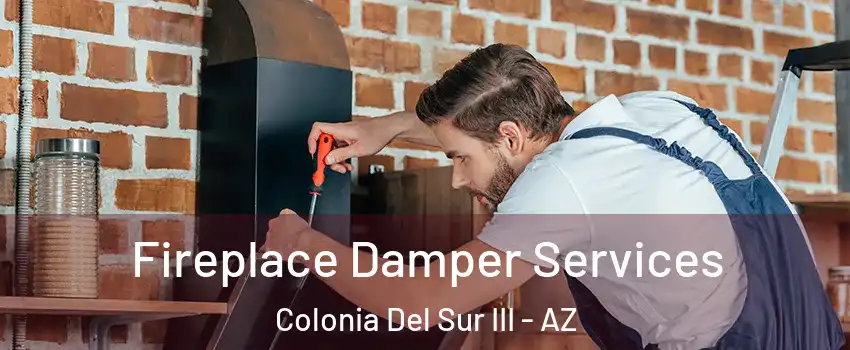 Fireplace Damper Services Colonia Del Sur III - AZ