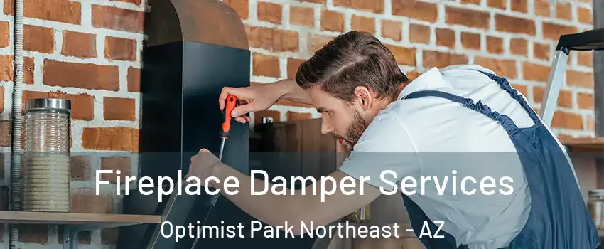 Fireplace Damper Services Optimist Park Northeast - AZ