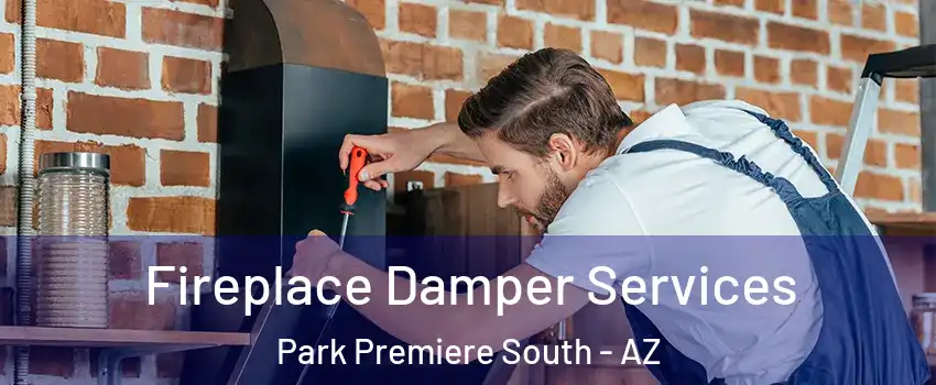 Fireplace Damper Services Park Premiere South - AZ