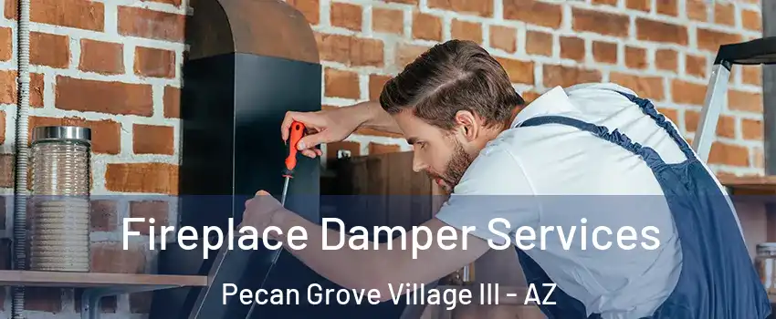 Fireplace Damper Services Pecan Grove Village III - AZ