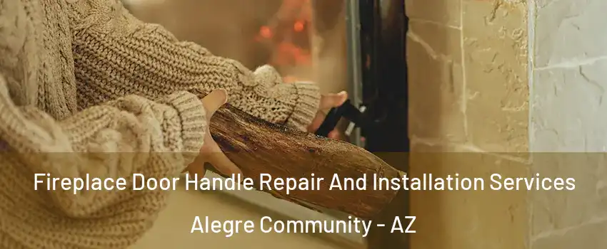 Fireplace Door Handle Repair And Installation Services Alegre Community - AZ