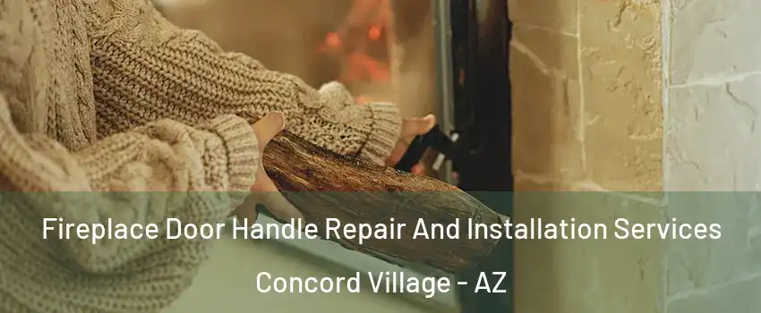 Fireplace Door Handle Repair And Installation Services Concord Village - AZ