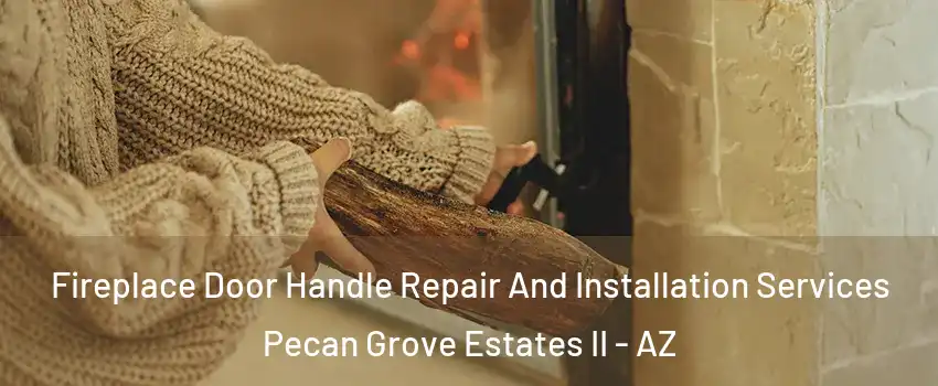 Fireplace Door Handle Repair And Installation Services Pecan Grove Estates II - AZ
