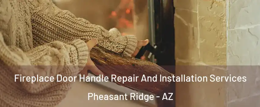 Fireplace Door Handle Repair And Installation Services Pheasant Ridge - AZ