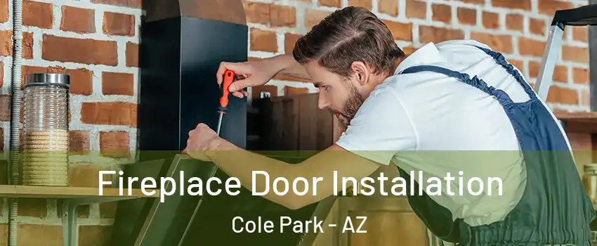 Fireplace Door Installation Cole Park - AZ