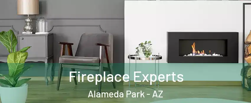 Fireplace Experts Alameda Park - AZ