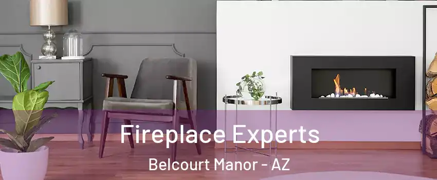 Fireplace Experts Belcourt Manor - AZ