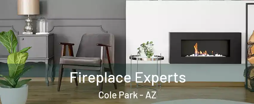 Fireplace Experts Cole Park - AZ