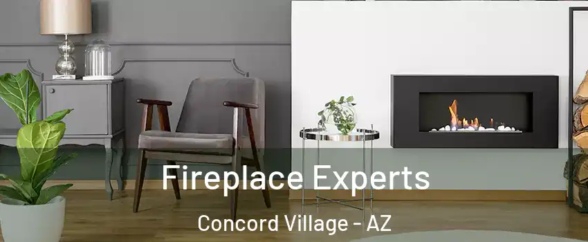 Fireplace Experts Concord Village - AZ