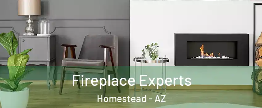 Fireplace Experts Homestead - AZ
