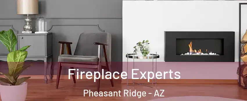 Fireplace Experts Pheasant Ridge - AZ