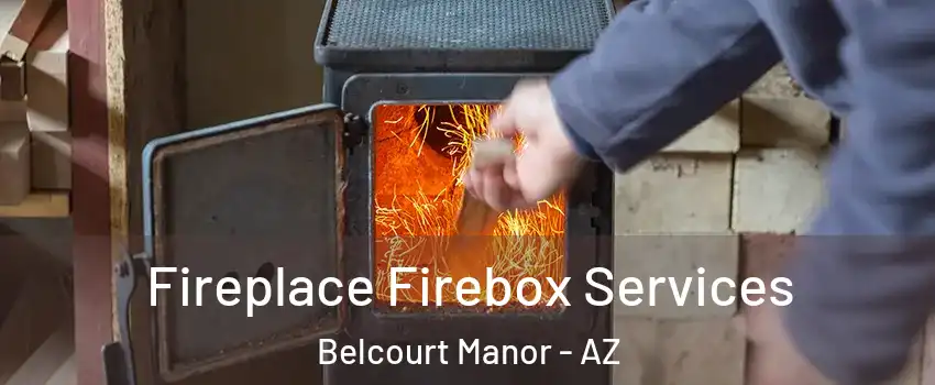 Fireplace Firebox Services Belcourt Manor - AZ