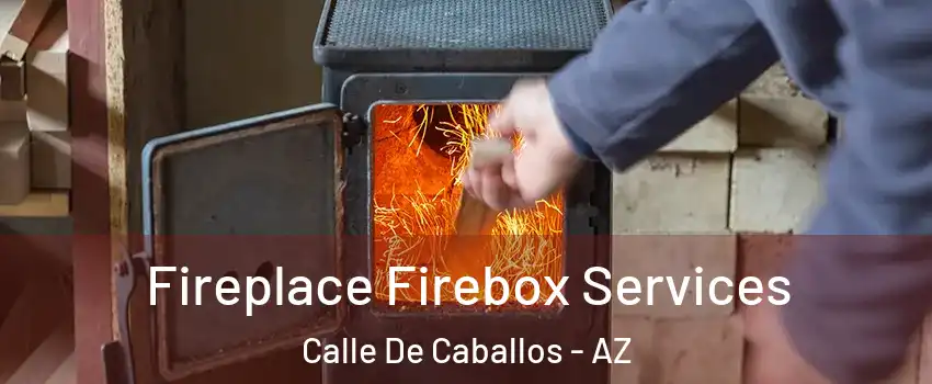 Fireplace Firebox Services Calle De Caballos - AZ