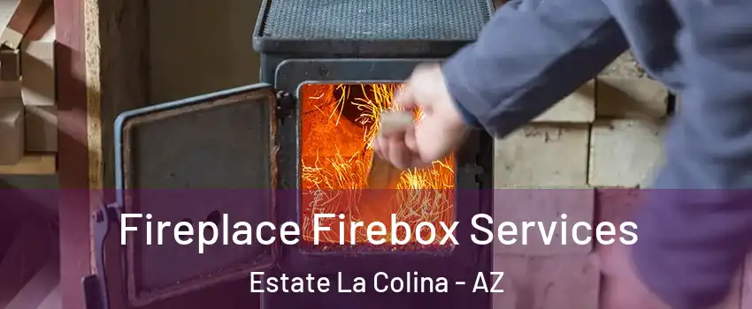 Fireplace Firebox Services Estate La Colina - AZ