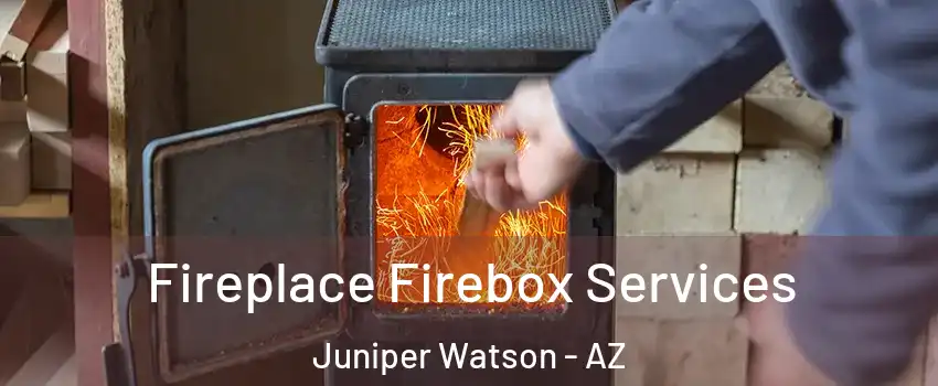 Fireplace Firebox Services Juniper Watson - AZ