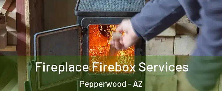 Fireplace Firebox Services Pepperwood - AZ