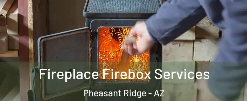Fireplace Firebox Services Pheasant Ridge - AZ