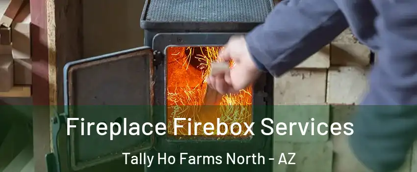 Fireplace Firebox Services Tally Ho Farms North - AZ