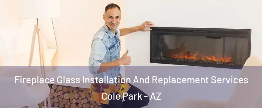 Fireplace Glass Installation And Replacement Services Cole Park - AZ